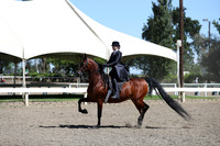 DAHA_Spring21_Thurs_0268