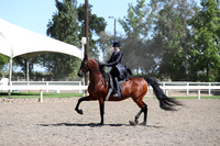 DAHA_Spring21_Thurs_0267