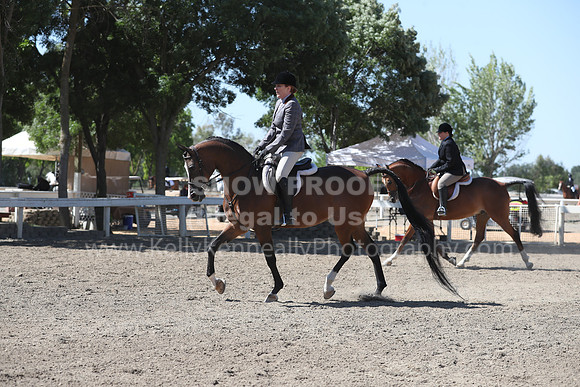 DAHA_Spring21_Thurs_0219