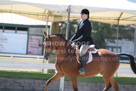DAHA_Spring21_Thurs_0221