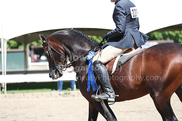 DAHA_Spring21_Thurs_0183