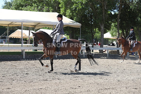 DAHA_Spring21_Thurs_0220