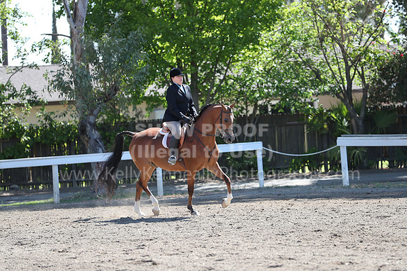 DAHA_Spring21_Thurs_0223