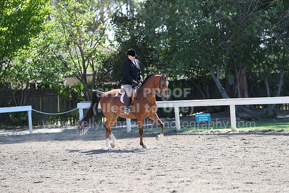 DAHA_Spring21_Thurs_0224