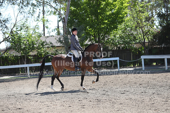 DAHA_Spring21_Thurs_0228