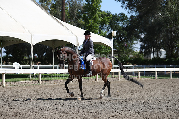 DAHA_Spring21_Thurs_0233