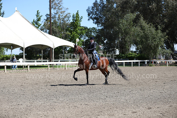 DAHA_Spring21_Thurs_0278