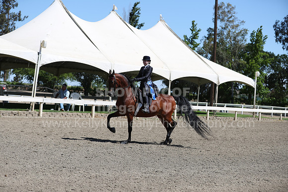 DAHA_Spring21_Thurs_0280
