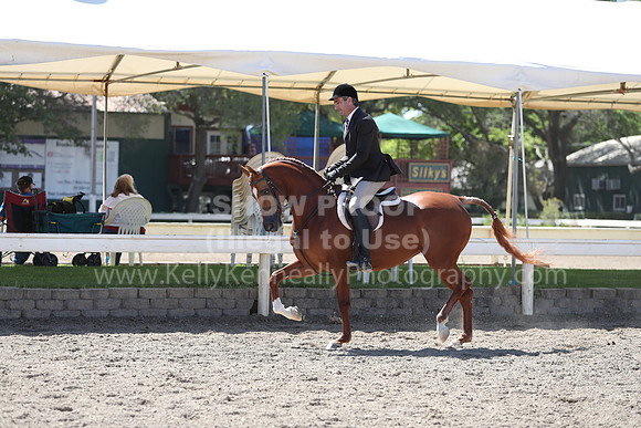 DAHA_Spring21_Thurs_0286