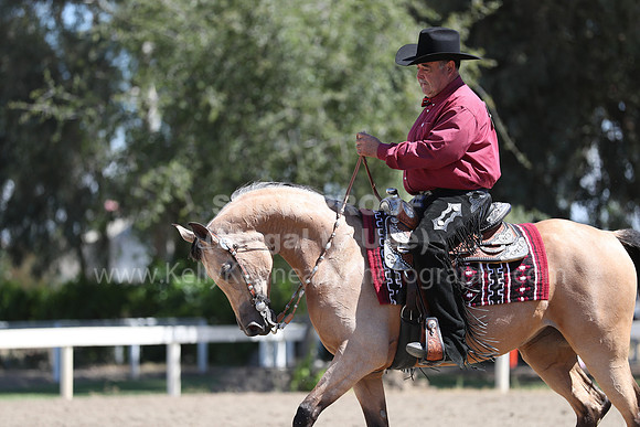 DAHA_Spring21_Thurs_0305