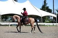 DAHA_Spring21_Thurs_0308