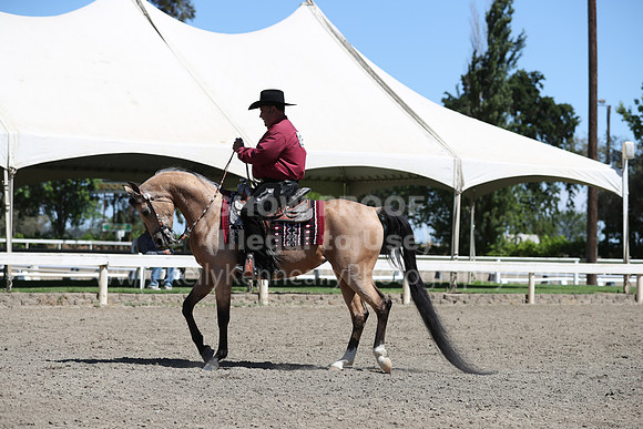 DAHA_Spring21_Thurs_0308