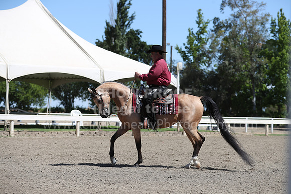 DAHA_Spring21_Thurs_0306
