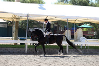 DAHA_Spring21_Thurs_0293