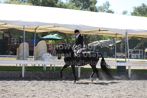 DAHA_Spring21_Thurs_0292