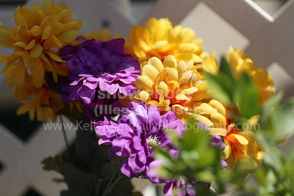 DAHA_Spring21_Thurs_0320