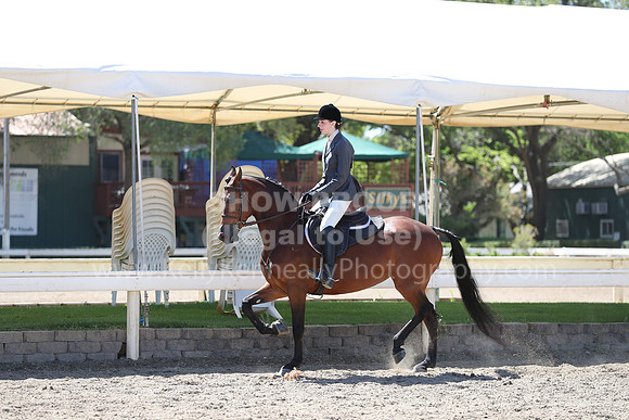 DAHA_Spring21_Thurs_0319