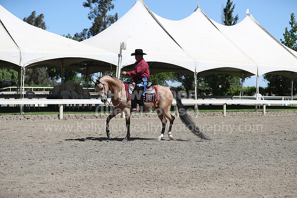 DAHA_Spring21_Thurs_0312