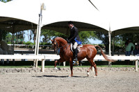 DAHA_Spring21_Thurs_0299