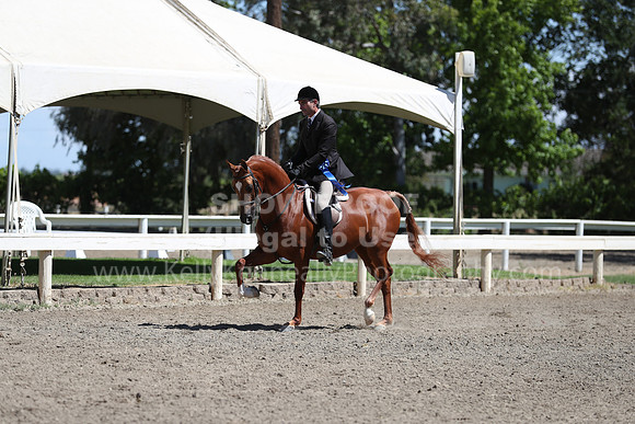DAHA_Spring21_Thurs_0298