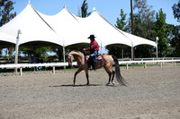 DAHA_Spring21_Thurs_0311