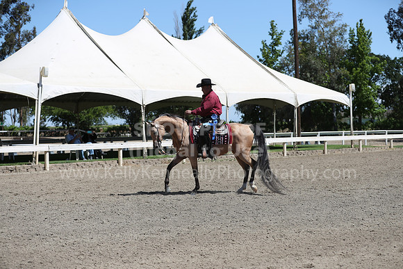 DAHA_Spring21_Thurs_0311