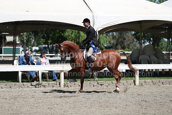DAHA_Spring21_Thurs_0300