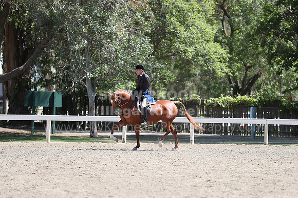 DAHA_Spring21_Thurs_0296