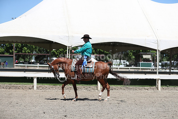 DAHA_Spring21_Thurs_0437