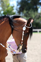 DAHA_Spring21_Thurs_0381