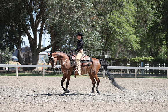 DAHA_Spring21_Thurs_0378