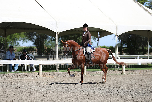 DAHA_Spring21_Thurs_0343