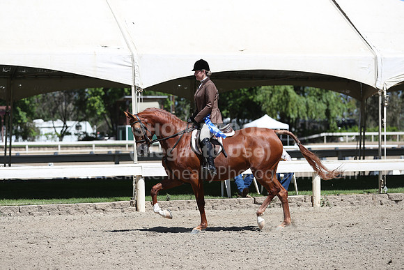 DAHA_Spring21_Thurs_0345