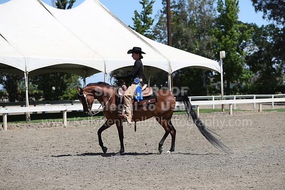 DAHA_Spring21_Thurs_0385