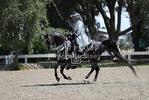 DAHA_Spring21_Thurs_0391