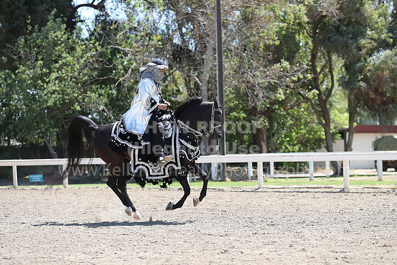 DAHA_Spring21_Thurs_0394