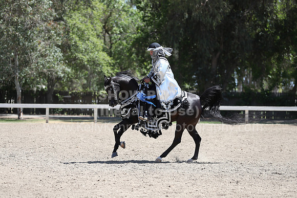 DAHA_Spring21_Thurs_0401