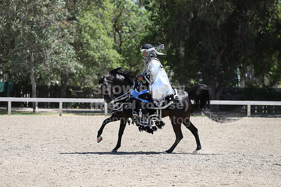 DAHA_Spring21_Thurs_0402