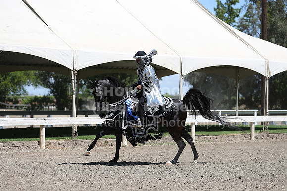 DAHA_Spring21_Thurs_0411