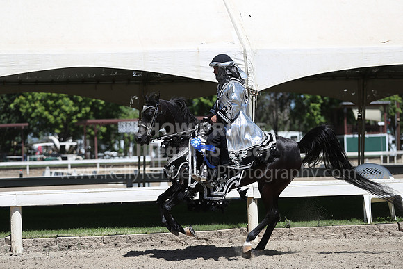 DAHA_Spring21_Thurs_0424
