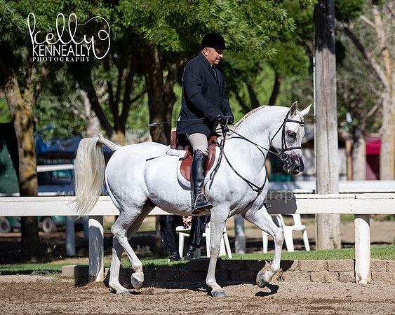 DAHA_Spring21_Thurs_0036