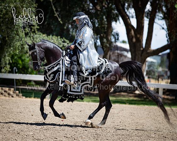 DAHA_Spring21_Thurs_0391