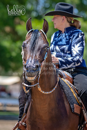 DAHA_Spring21_Thurs_0575
