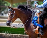 DAHA_Spring21_Thurs_0875