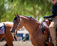 DAHA_Spring21_Thurs_0856