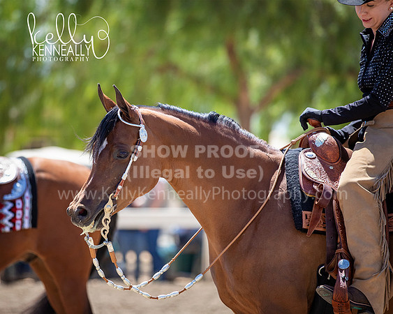 DAHA_Spring21_Thurs_0856