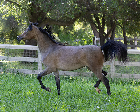 LaVitaBellaRA_Apr25_6244