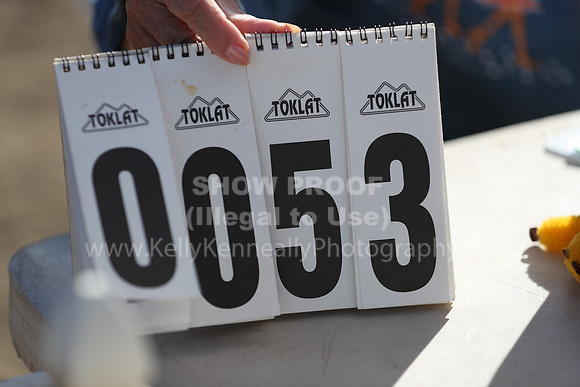 DAHA_Spring21_Fri_1163