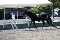 DAHA_Spring21_Fri_1175