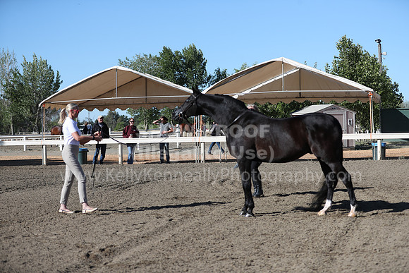 DAHA_Spring21_Fri_1173